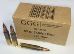 GGG .223 - FMJ 55grs